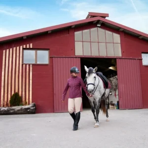 24x36 Dutch Barn for Horses